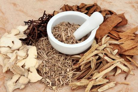 Adaptogens in Pre-Workouts: Unlocking Stress Resilience and Performance Enhancement